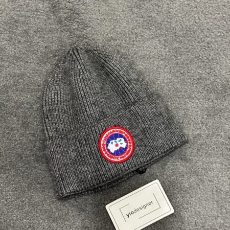 Canada goose grey