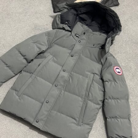 Canada goose Wyndham grey