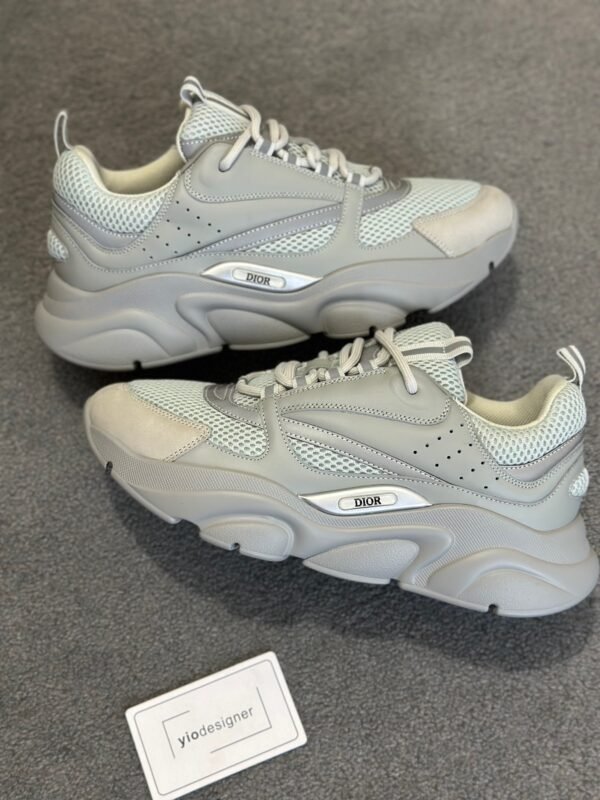 Dior b22
