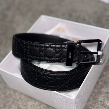 Dior belt
