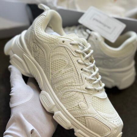 Dior sneaker
