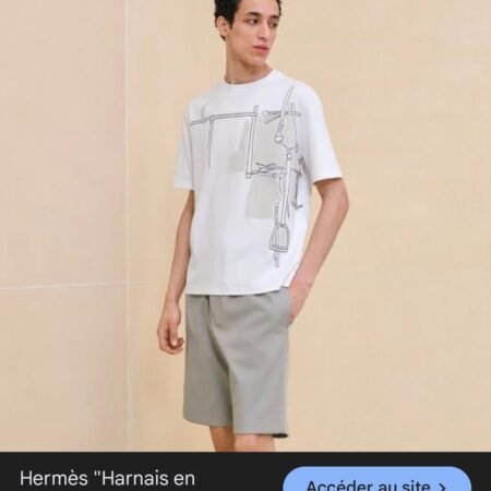 hermes t-shirt